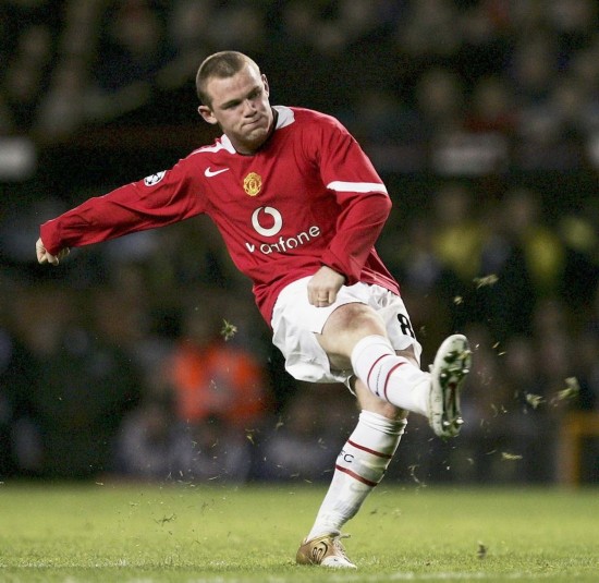 应新环境的 应新环境的